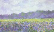 Claude Monet Field of Yellow Iris at Giverny china oil painting reproduction